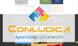 Conludica – WEB