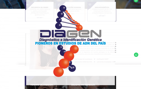 Diagen – Sitio WEB